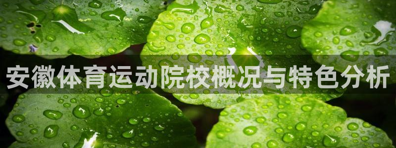k1体育下载链接