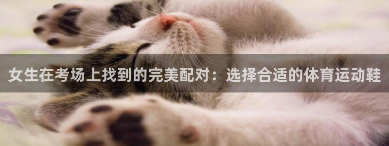 k1体育十年登录入口