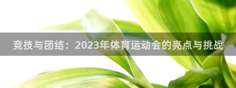 k1体育网址是多少
