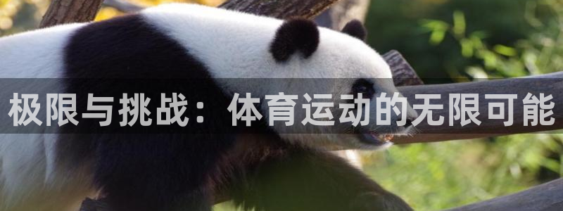 k1体育链接多少
