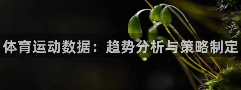 k1体育十年平台