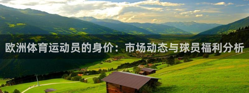 k1体育网站登录官网