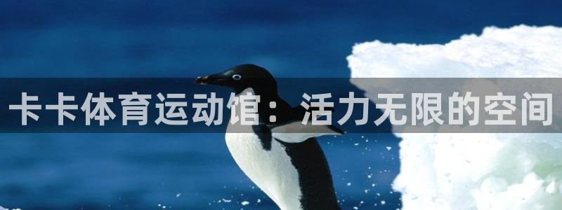 k1体育棋牌