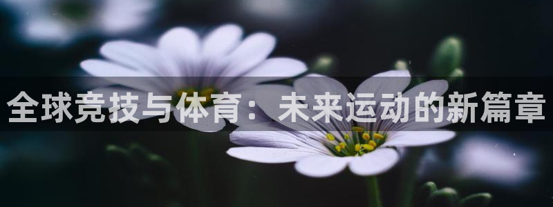 k1体育网址是多少