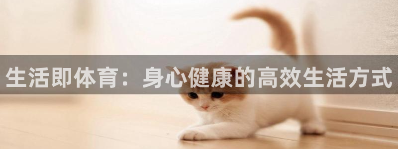 k1体育入口