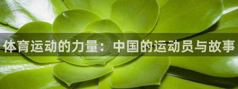 k1体育棋牌网址