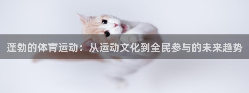 k1体育棋牌