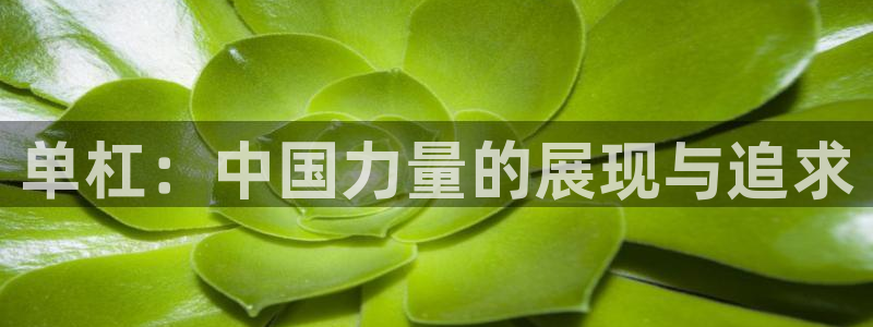 k1体育下载链接