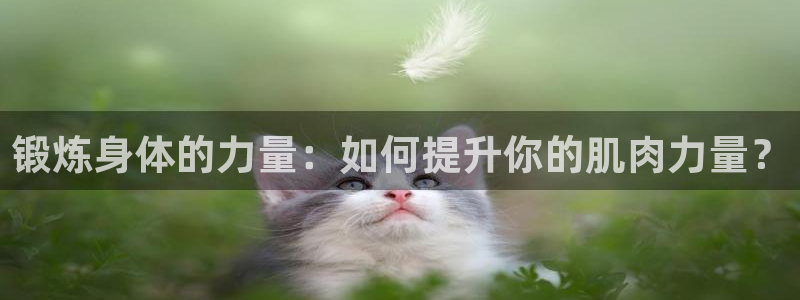 k1体育十年品牌值得信赖网址